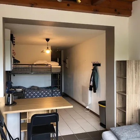 Studio 24m2 Au Markstein * Linthal